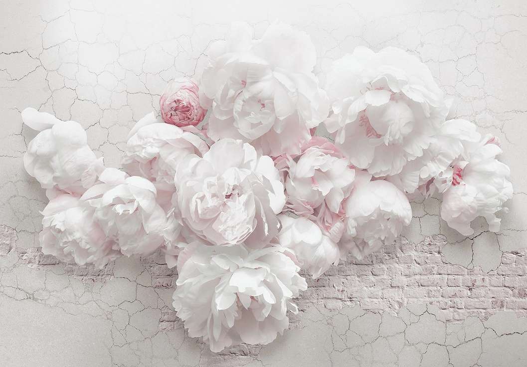 Fehér, rózsaszín óriás rózsa mintás fali poszter tapéta loftos háttérrel 368x254 vlies