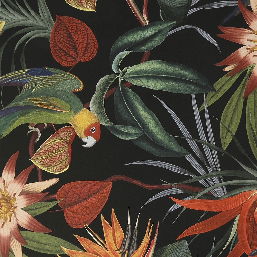 Fekete alapon papagáj és trópusi virágmintás design tapéta