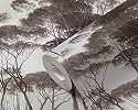 Fekete fehér erdei fa mintás vlies design tapéta