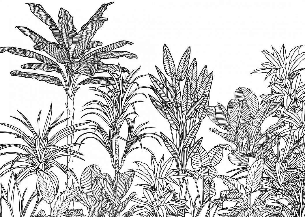 Fekete fehér modern minimál trópusi bottanikus poszter pálmafa mintákkal