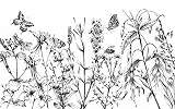 Fekete fehér óriás virág és pillangó mintás poszter tapéta