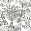 Fekete fehér pálmafa, majom mintás vlies design tapéta