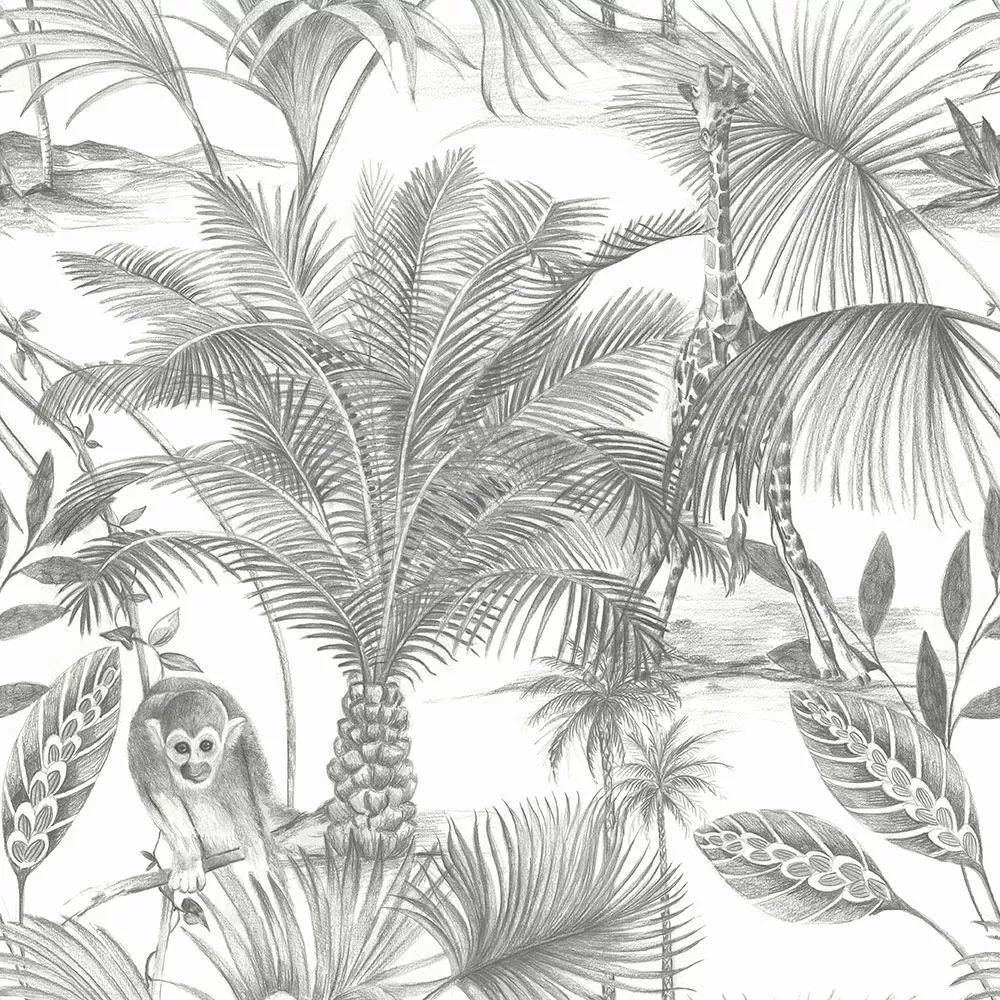 Fekete fehér pálmafa, majom mintás vlies design tapéta