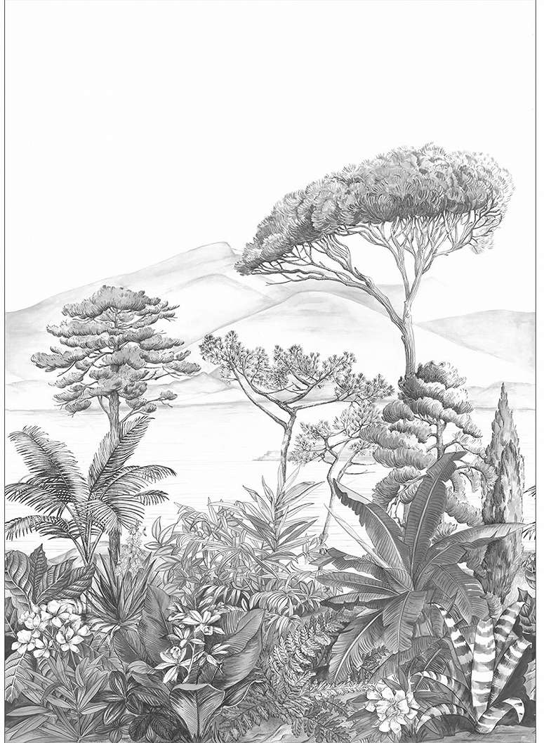 Fekete fehér trópusi fali poszter rajzolt stílusban