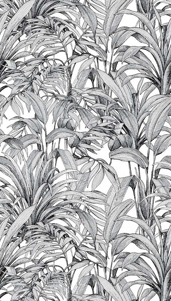 Fekete fehér trópusi levél mintás dekor fotótapéta