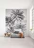 Fekete fehér trópusi pálmafa mintás vlies fali poszter