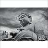 Fekete fehér zen Buddha fali poszter
