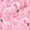 Flaningó mintás tapéta rózsaszín flamingó mintával