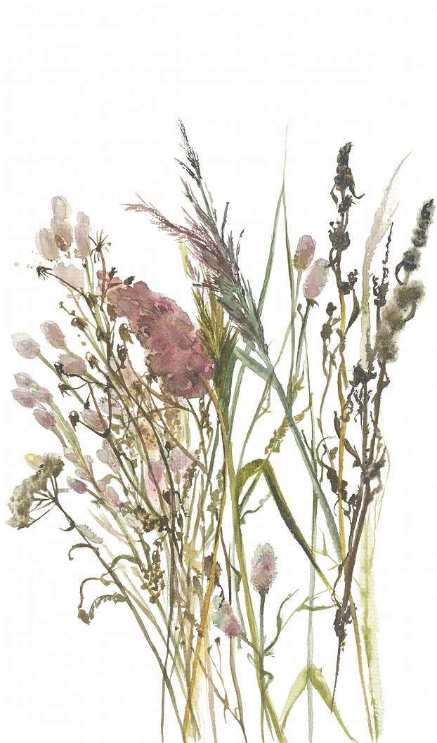 Fotótapéta akvarell vadvirág mintával 160cm x 270cm