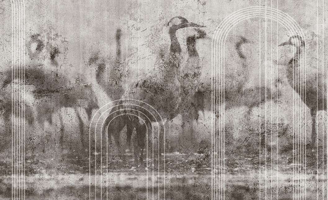 Fotótapéta darumadár sziluett geometriai csíkokkal fekete, fehér színben 368x254 vlies