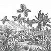 Fotótapéta dzsungeles grafikával fekete fehér színvilágban