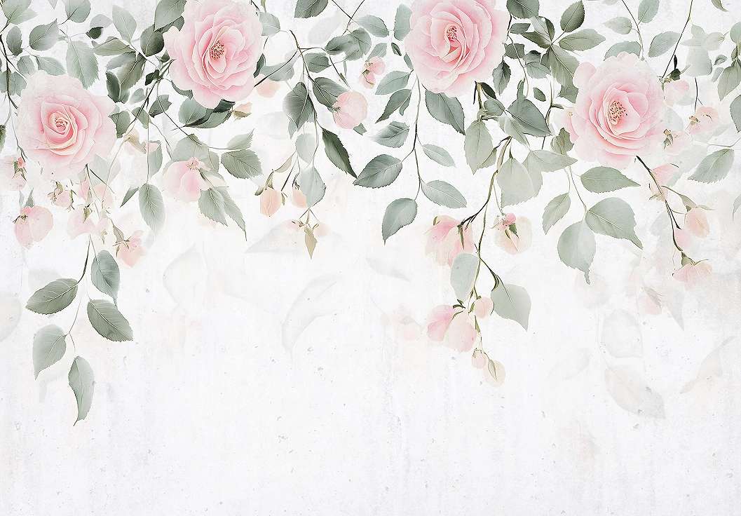 Fotótapéta fehér alapon rózsaszín rózsákkal és fentről lefelé elhalványuló levelekkel 368x254 vlies
