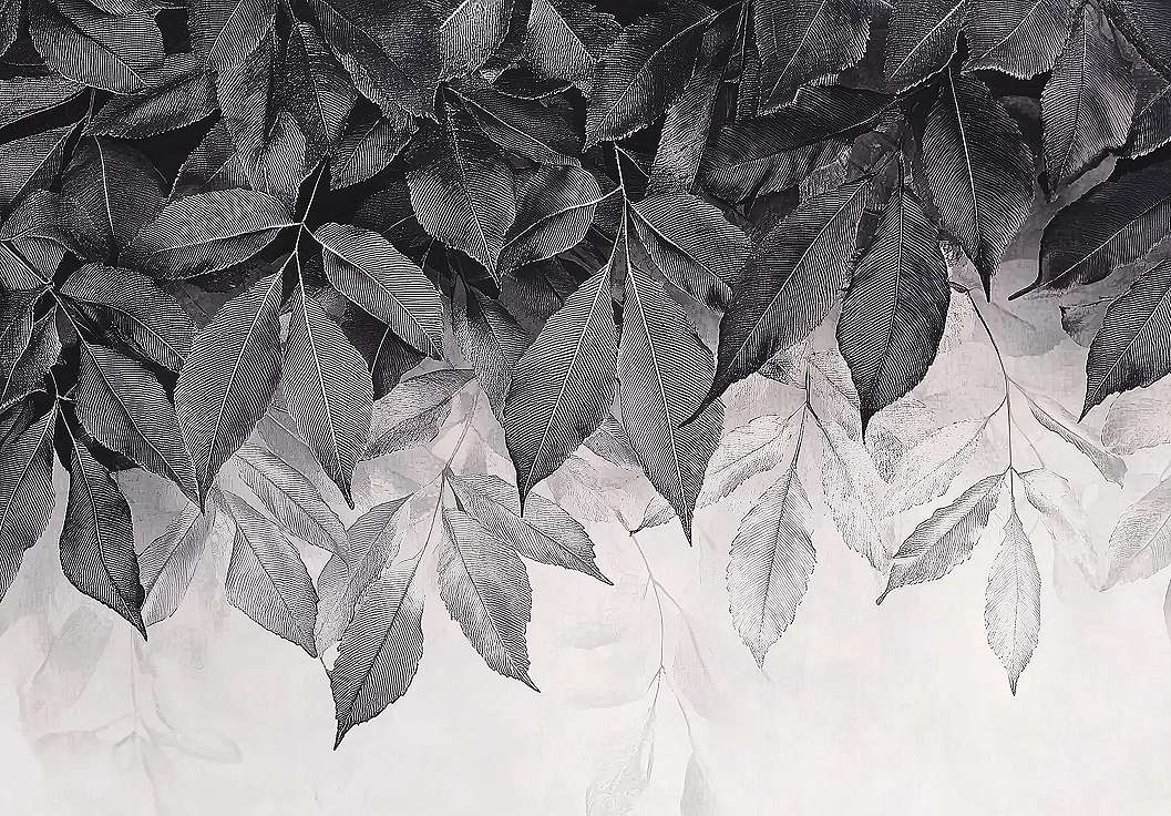 Fotótapéta feketefehér függő falevél mintával 368x254 vlies
