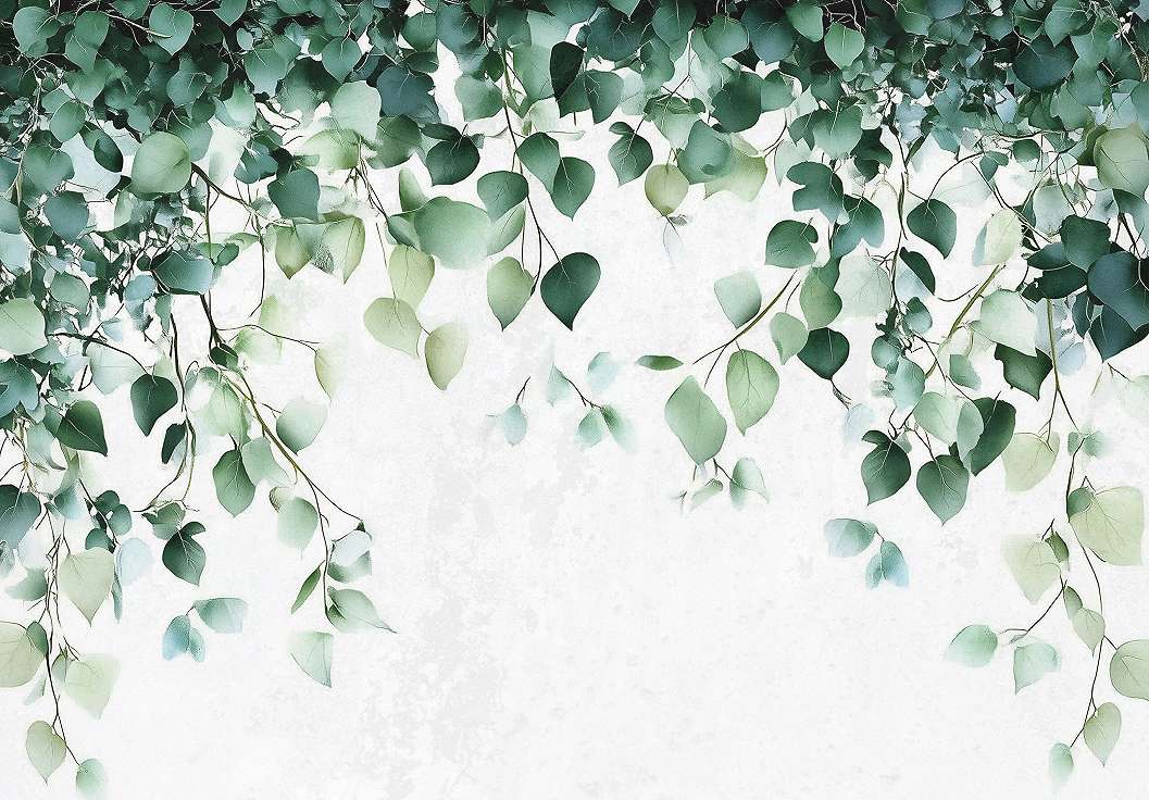 Fotótapéta fentről belógó leveles faág mintával 368x254 vlies