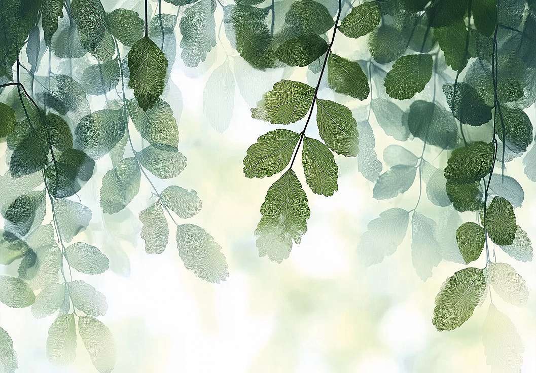 Fotótapéta fentről lelógó falevelek és ágak mintával 368x254 vlies