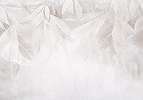 Fotótapéta halvány sejtelmes fentről lelógó levél minta törtfehér színben 368x254 vlies