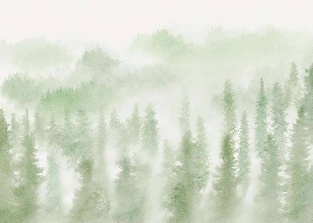 Fotótapéta ködös erdei fenyves mintával