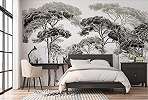 Fotótapéta magas ciprus fa tujákkal fekete fehér színben 368x254 vlies