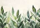 Fotótapéta nagy leveles cserje mintával élén zöld színekkel krém háttérrel 368x254 vlies