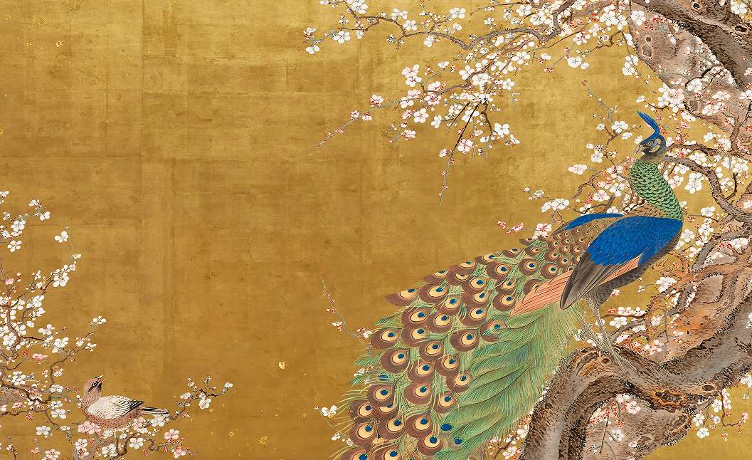 Fotótapéta okkersárga háttér egy fa ágon ülő pávával 368x254 vlies