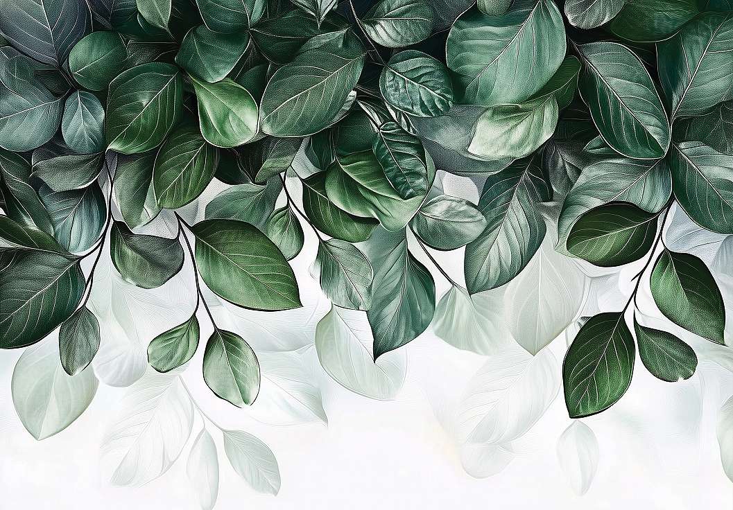 Fotótapéta sötét zöld színű függő levelek mintával 368x254 vlies