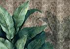 Fotótapéta színes nagy banánleveles mintával 368x254 vlies