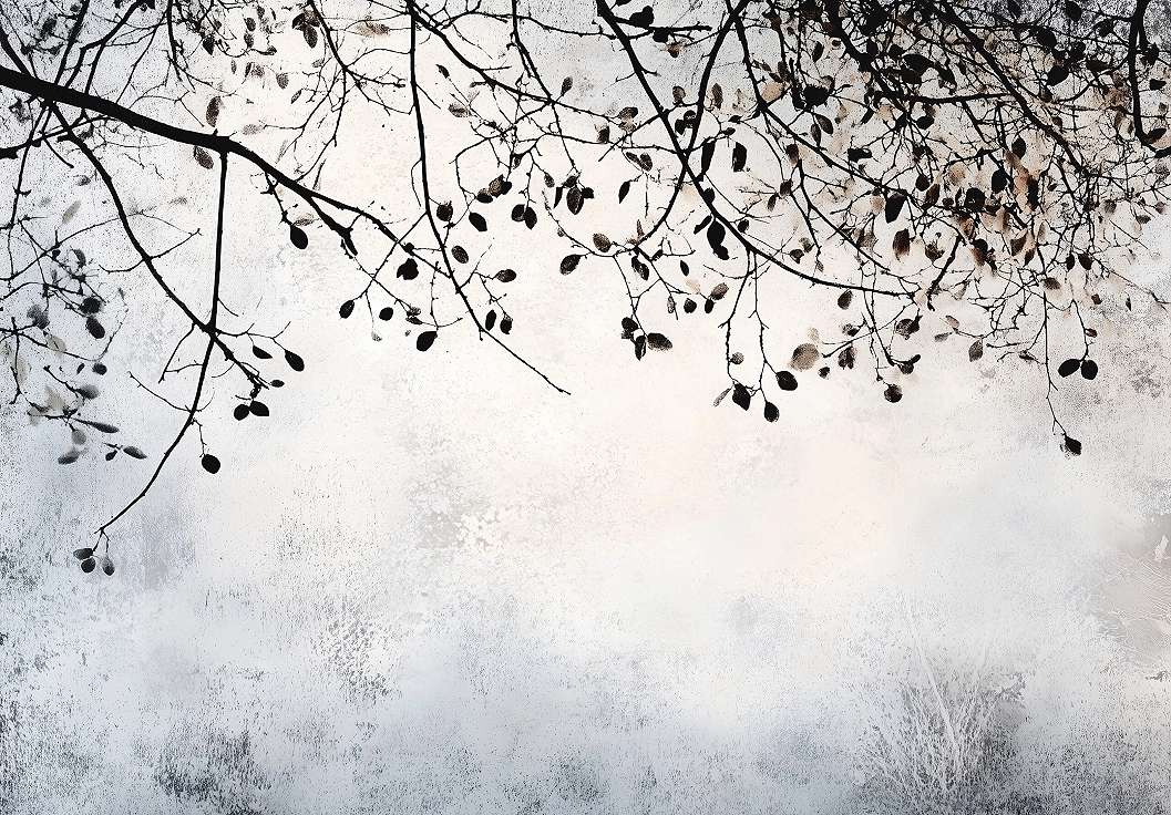 Fotótapéta szürke színű alulról felfelé világosodó foltos háttér tetején faág sziluettel 368x254 vlies