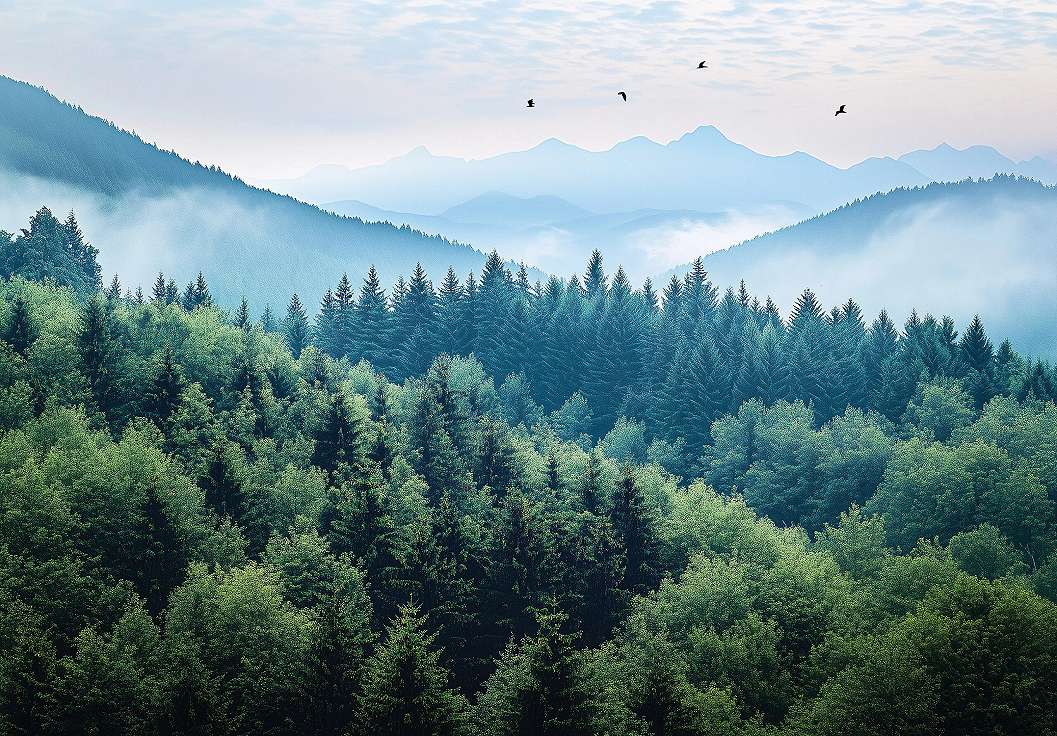 Fotótapéta tájkép hegyekkel és erdőkkel minta 368x254 vlies