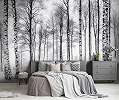 Fotótapéta tájkép téli nyírfa erdő feketefehér színben 368x254 vlies