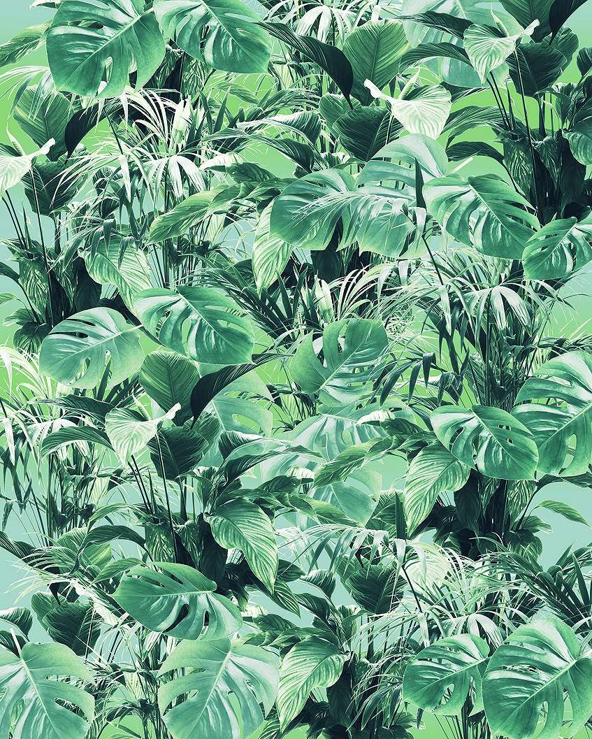 Fotótapéta zöld trópusi leveles mintákkal