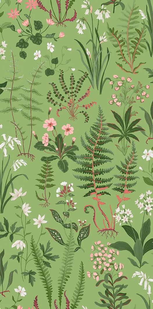 Graham dekor tapéta mezei virág mintával zöld színben