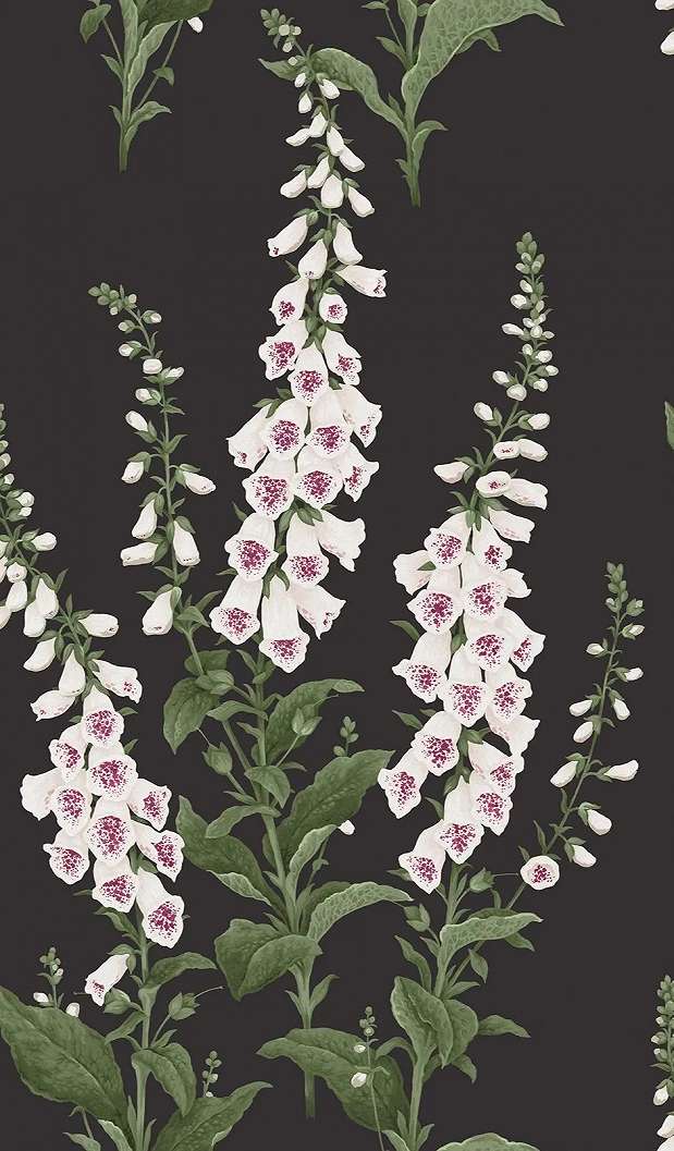 Graham dekor tapéta oroszlánajak virág mintával fekete alapon fehér színben