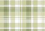 Gyerek dekor tapéta skótkockás mintával zöld színben