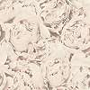 Halványrózsaszín Fehér rózsamintás vlies tapéta