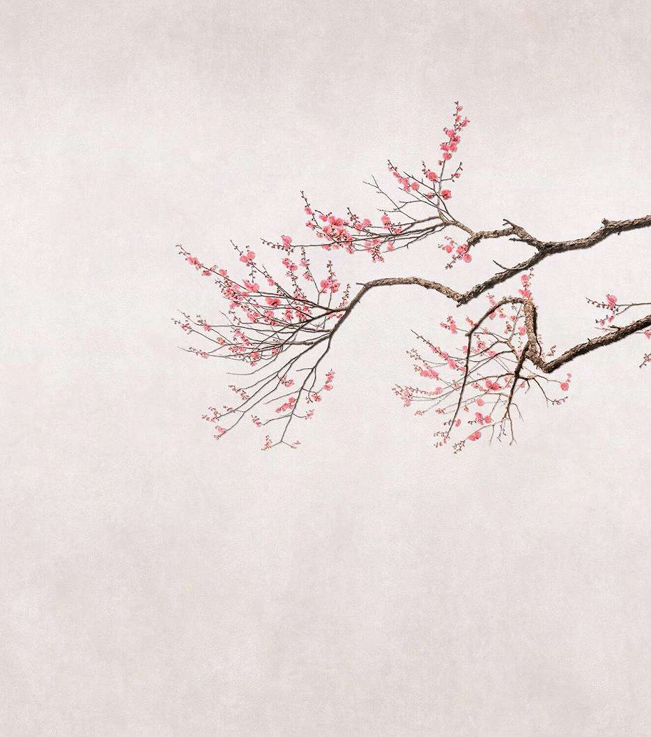 Japán cseresznyefa mintás minimál fali poszter