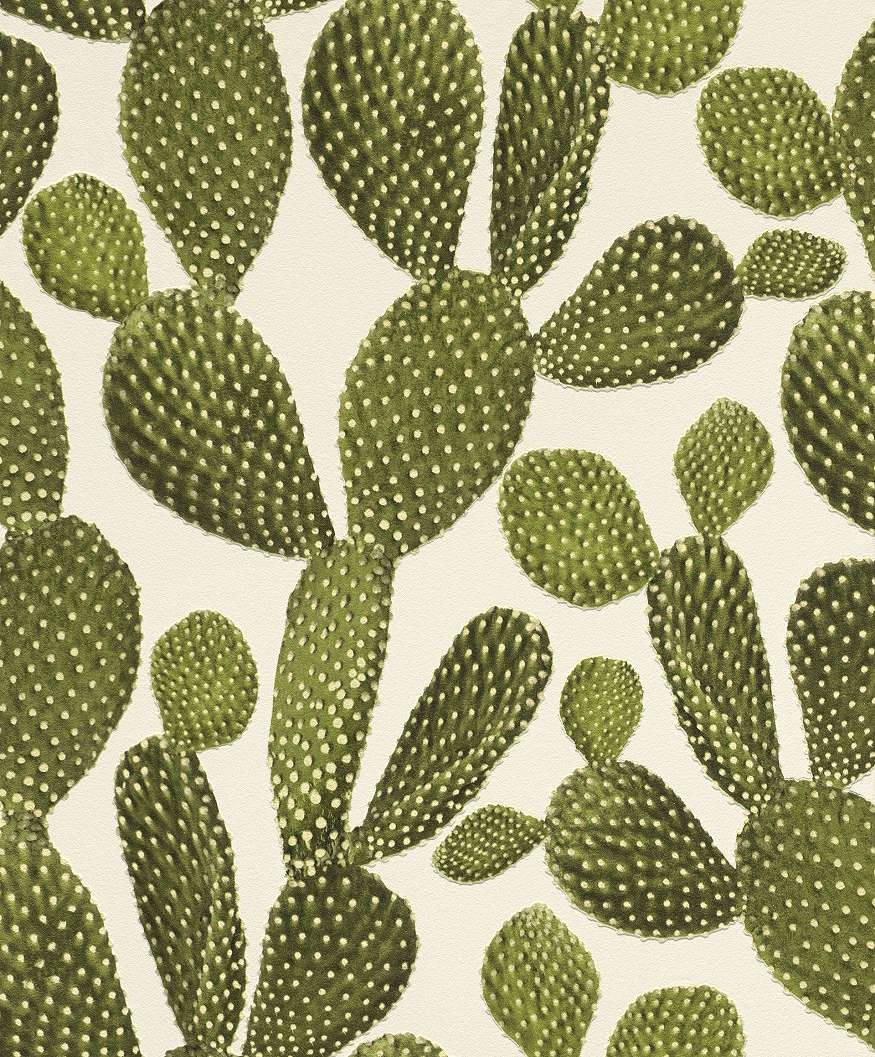 Kaktusz mintás tapéta