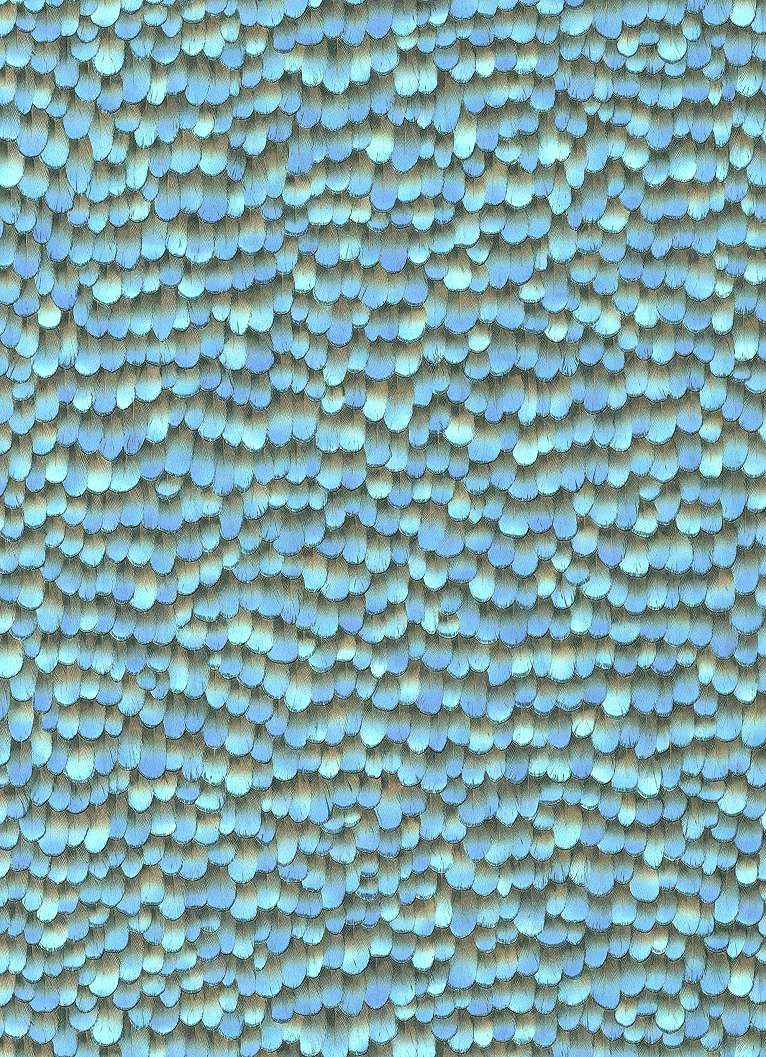 Kék madártoll mintás design tapéta struktúrált felülettel