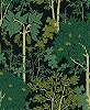 Khroma zöld skandináv stílusú fa faág mintás prémium design tapéta