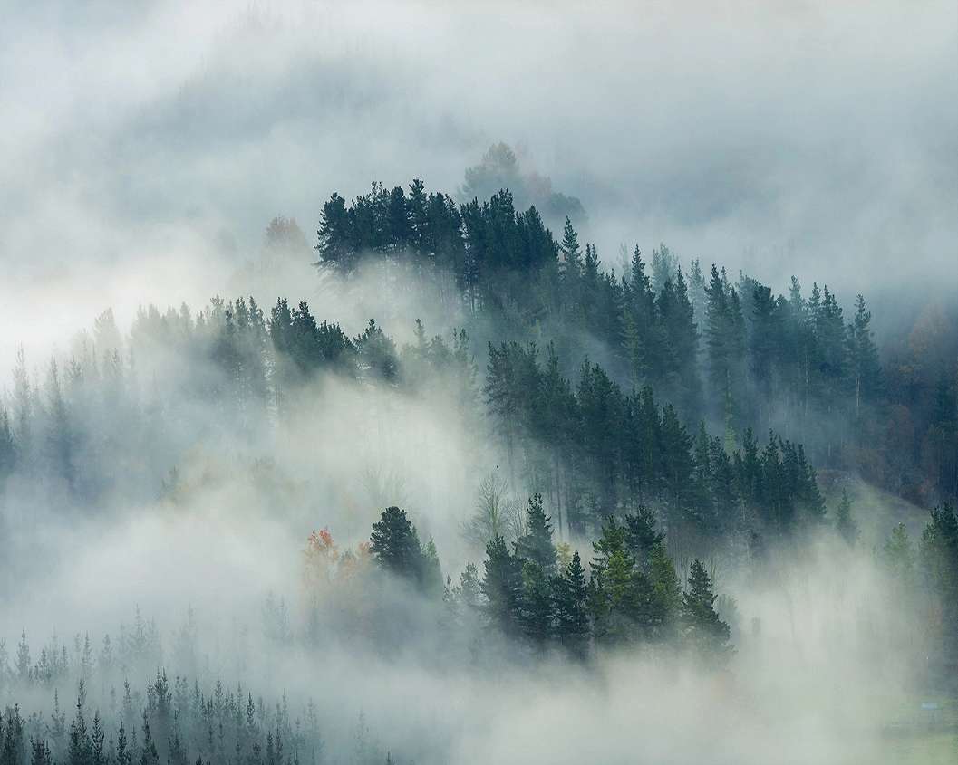 Ködbe burkolózó erdős tájkép mintás design fali poszter 368x254 vlies