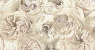 Krém színű virágmintás tapéta