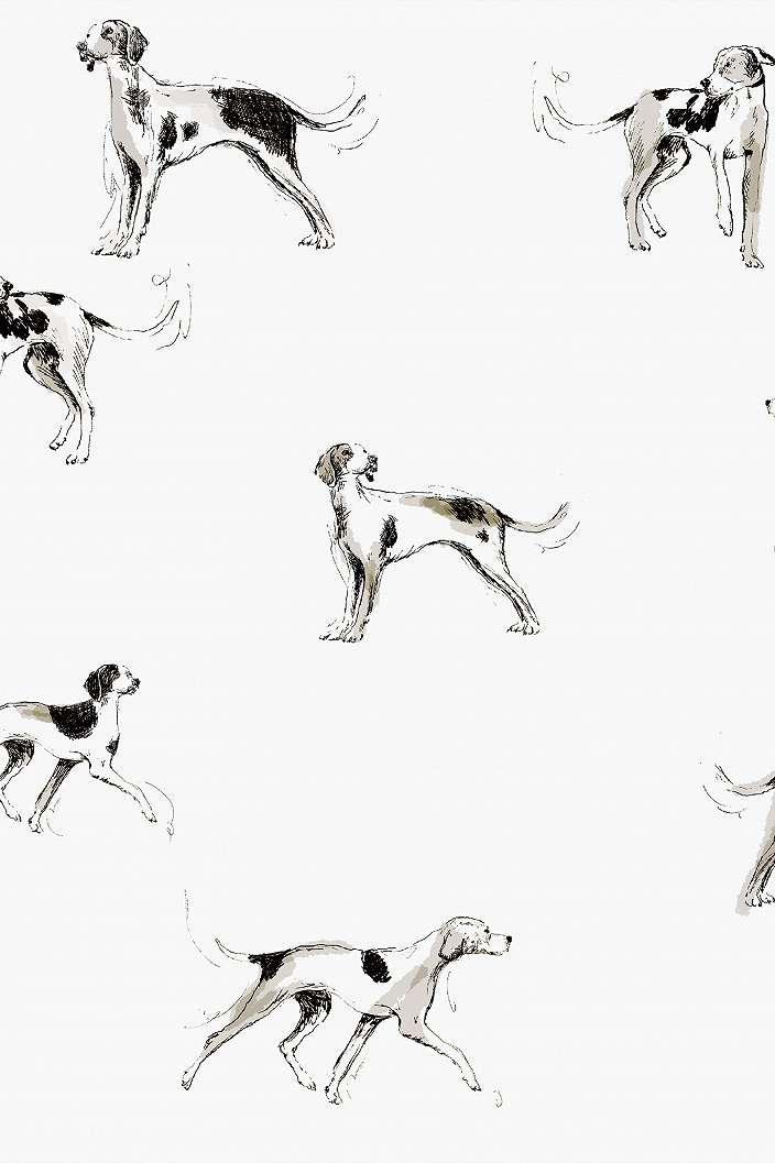 Kutya mintás angol tapéta skiccrajz stílusú mintával