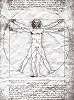 Leonardo da Vinci The Vitruvian Man fali poszter 368x254 vlies