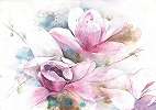 Magnólia virágmintás akvarell hatású fali poszter 368x254 vlies