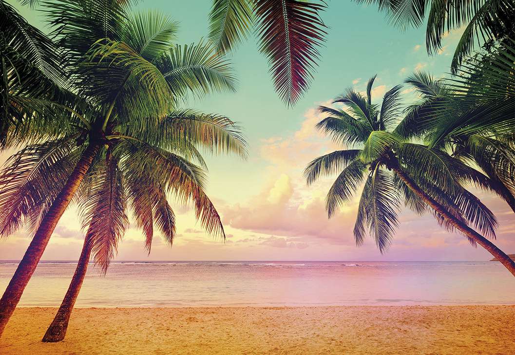 Miami tengerpart, pálmafák fali poszter