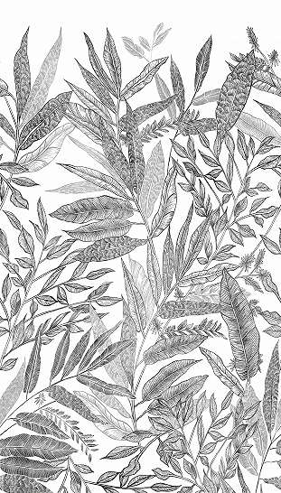Minimál fekete fehér trópusi pálmafa mintás posztertapéta