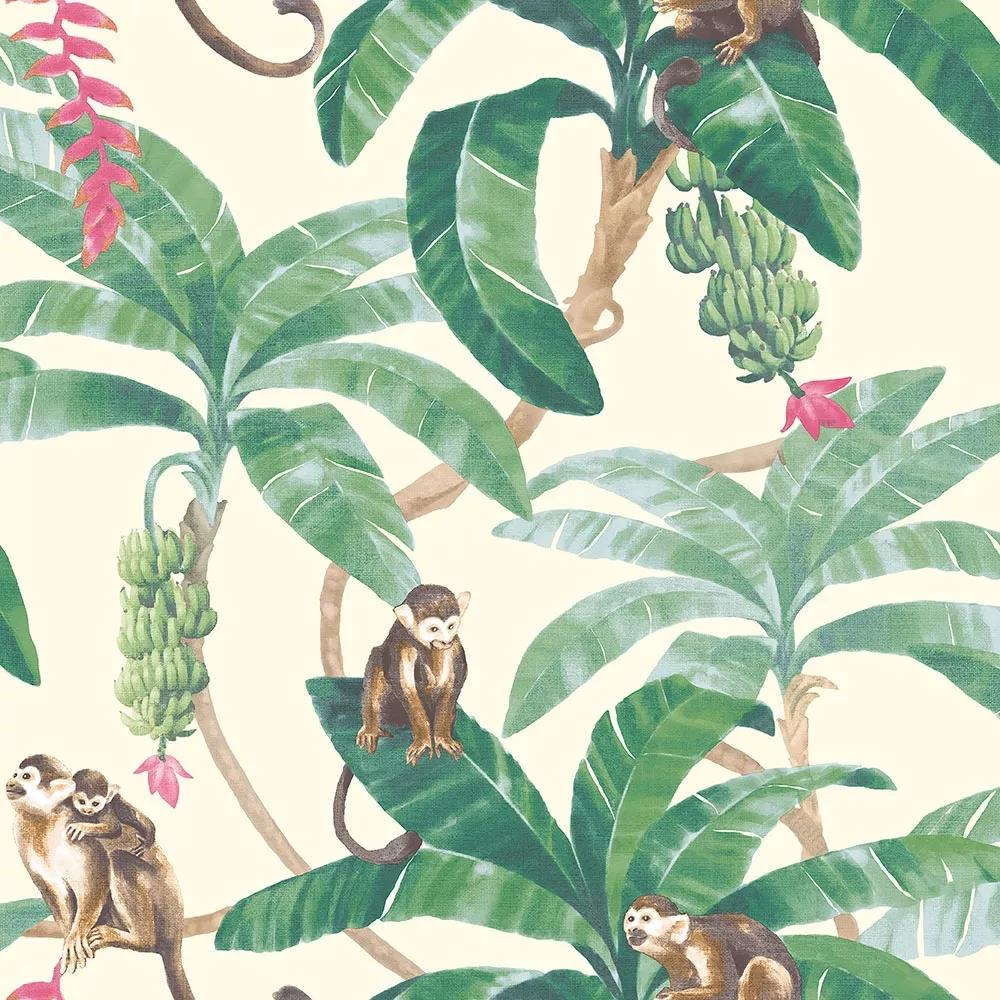 Modern design tapéta dzsungel és majom mintával