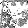 Modern fekete fehér dzsungel pálmafa mintás posztertapéta