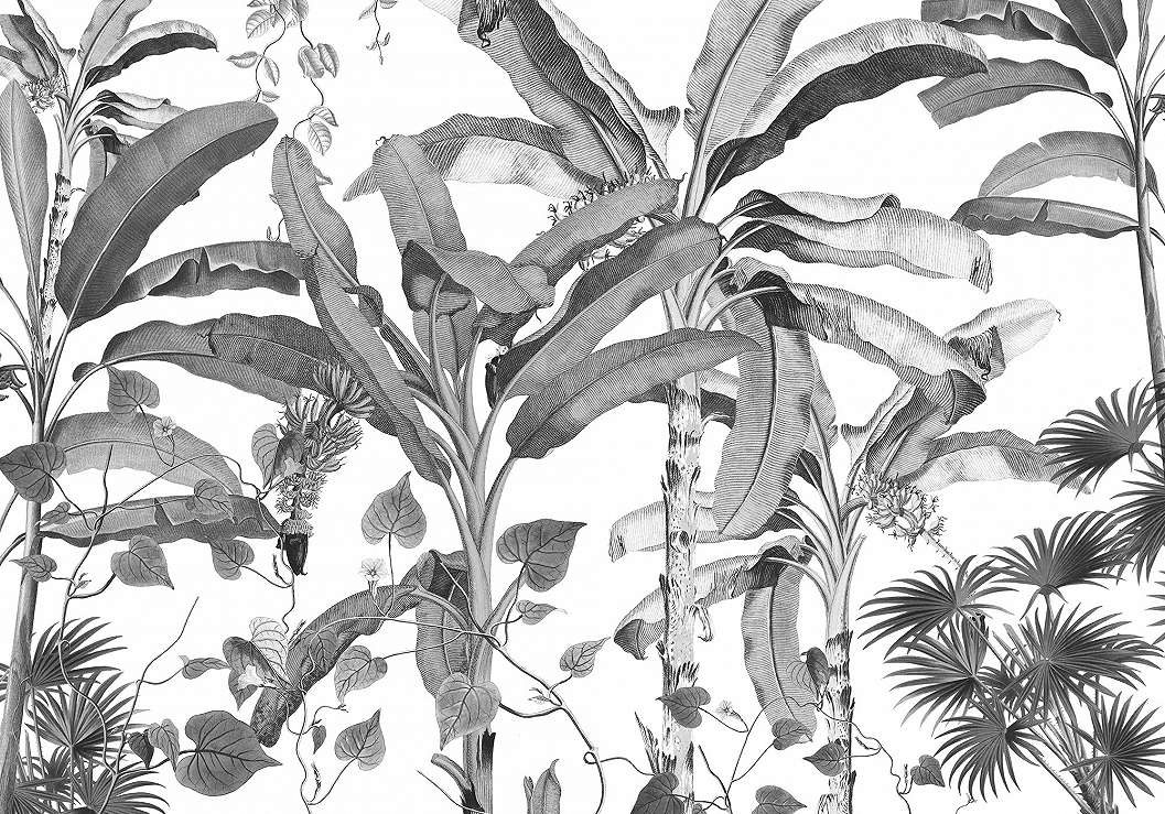 Modern fekete fehér dzsungel pálmafa mintás poszter