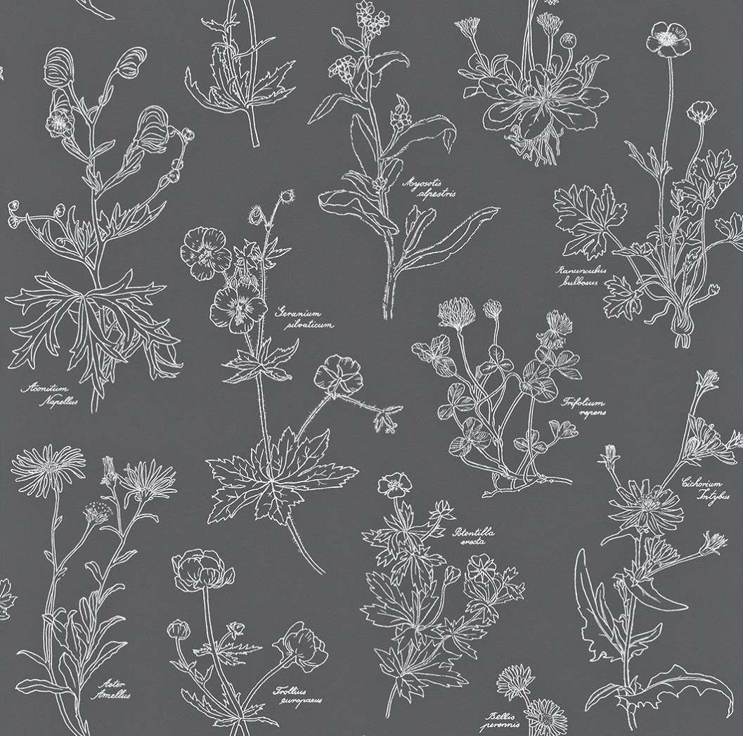 Modern organikus vadvirág mintás tapéta