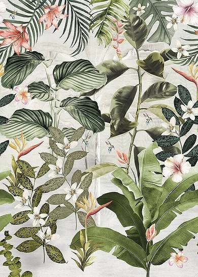 Modern trópusi dzsungel mintás fali poszter kolibri mintával